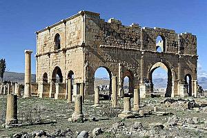 ALGERIE-RUINES ROMAINES DE LAMBESE (24)